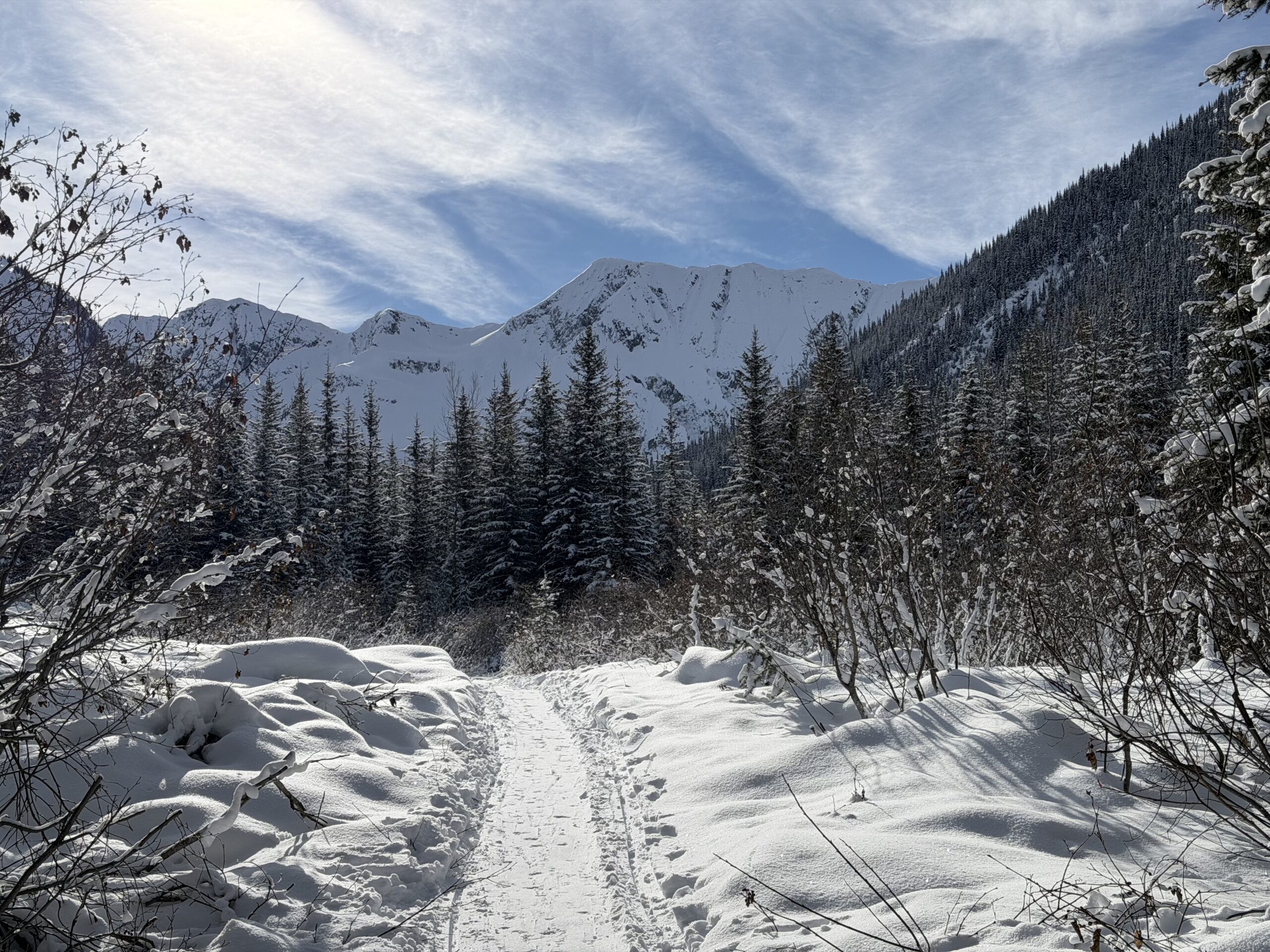 Steep Peak | Francis' Summit Trip Reports